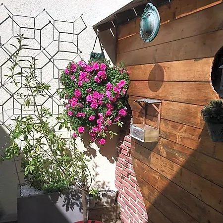 Bed & Breakfast Le Patio De L'oustal 3*